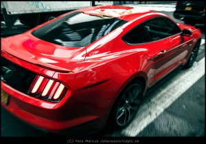 1451-New-Mustang